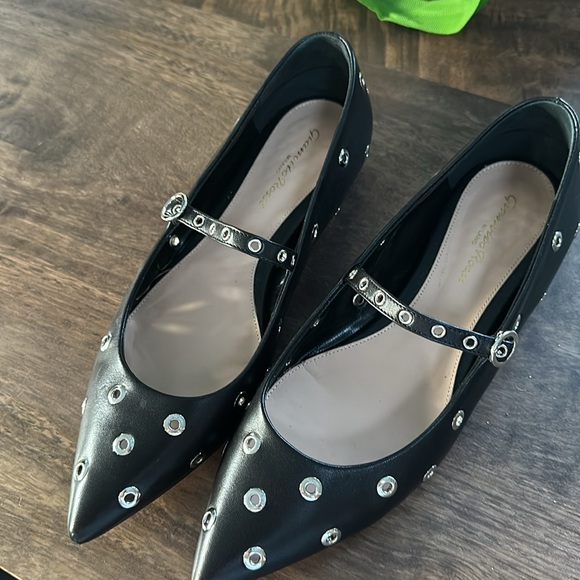 Gianvito Rossi Black Leather Pointed Toe, Ankle Strap Flats (Size 38) - Picture 5 of 6